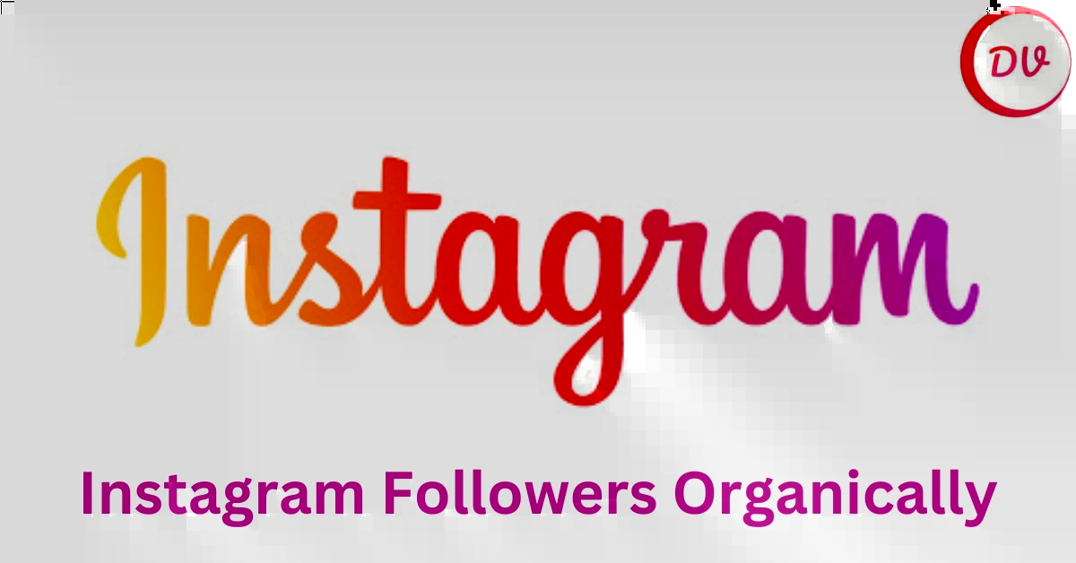 Instagram Followers Organically- featured Image